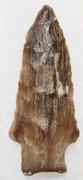 Kent Projectile Point